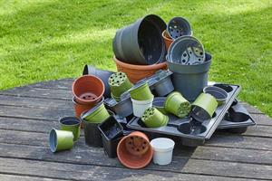 Plastic plant pot manufacturers struggle to keep up with demand for new colours